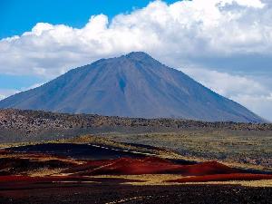 Reserva La Payunia Circuito Turístico Los Volcanes